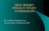 NEW JERSEY PRIVACY STUDY COMMISSION By: Catherine Starghill, Esq. Privacy Study Commission, Staff.