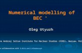 * Numerical modelling of BEC * Oleg Utyuzh The Andrzej Sołtan Institute for Nuclear Studies (SINS), Warsaw, Poland * In collaboration with G.Wilk and Z.WlodarczykG.Wilk.
