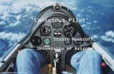 The Conscious Pilot Stuart Hameroff University of Arizona.