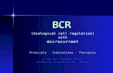 BCR (biological cell regulation) with microcurrent Principle - Indications - Therapies Dr.med.univ. Vlastimil Voracek Orthopädisches Therapiezentrum /OTZ.