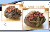 Clay Sea Rocks. Materials A small block of clay Newspaper Plastic bag Small cup of vinegar Q-tip Texturing Items (pencil, toothpick…) A small block of.