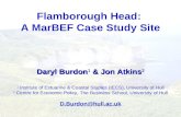 Daryl Burdon 1 & Jon Atkins 2 Flamborough Head: A MarBEF Case Study Site Daryl Burdon 1 & Jon Atkins 2 1 Institute of Estuarine & Coastal Studies (IECS),