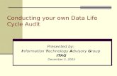 Conducting your own Data Life Cycle Audit Presented by: I nformation T echnology A dvisory G roup ITAG December 3, 2003.
