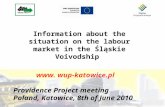 Www. wup-katowice.pl Providence Project meeting Poland, Katowice, 8th of June 2010 Information about the situation on the labour market in the Śląskie.