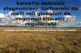 KolxeTis dablobis sfagnumiani torfnarebi da maTi roli globaluri da regionuli klimatis regulaciaSi ekologiis specialobis mesame kursis studenti: Tamar wulukiZe.