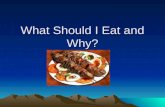 What Should I Eat and Why?. Dietary Orgins Staple of todays diet is cereals, dairy products, refined sugars, fatty meats and salted processed food. Paleolithic.