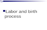 Labor and birth process. Labor Process Exact mechanism unknown Theories: Uterine stretching Prostaglandin Oxytocin stimulation Cervical pressure Aging.