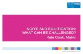 NGOS AND EU LITIGATION: WHAT CAN BE CHALLENGED? Kate Cook, Matrix.