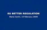 EU BETTER REGULATION Maria Carim, 10 February 2009.