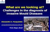 Alessandro C. Pasqualotto pasqualotto@santacasa.tche.br Porto Alegre, Brazil What are we looking at? Challenges in the diagnosis of Invasive Mould Diseases.