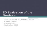 ED Evaluation of the Newborn Anita Eisenhart, DO, FACOEP, FACEP CRASH Course Chandler, AZ September, 2012.