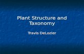 Plant Structure and Taxonomy Travis DeLozier. Major Parts of Plants.