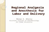Regional Analgesia and Anesthesia for Labor and Delivery Marwa A. Khairy Assistant Lecturer of Anesthesiology Ain Shams University.