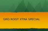 GRO ROOT XTRA SPECIAL. Characteristics GRX-SP is 0.85% IBA and 0.15% Kinetin. IBA functions to promote the growth of lateral roots. Kinetin which is known.