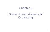 1 Chapter 6 Some Human Aspects of Organizing. 2 Advanced Organizer.