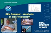 Silk Snapper - Analysis of size-frequency Todd Gedamke (SEFSC) Photo from: .
