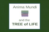 Anima Mundi and the TREE of LIFE. WATER EARTHAIR FIRE The ancient model called the Anima Mundi is made up of Four Elements.