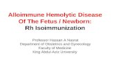 Alloimmune Hemolytic Disease Of The Fetus / Newborn: Rh Isoimmunization Professor Hassan A Nasrat Department of Obstetrics and Gynecology Faculty of Medicine.