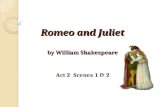 Romeo and Juliet by William Shakespeare Act 2 Scenes 1 & 2.