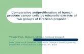 Comparative antiproliferation of human prostate cancer cells by ethanolic extracts of two groups of Brazilian propolis Yong K. Park, Cleber S. Moraes,