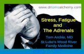 Stress, Fatigue and The Adrenals Tom Archie, MD Tom Archie, MD St Lukes Wood River Family Medicine St Lukes Wood River Family Medicine .