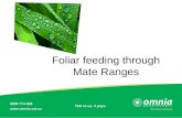 Foliar feeding through Mate Ranges. Fertilisers Micronutrients involve in different vital plant physiological activities. Micronutrients can enhance plant.
