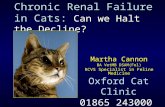 Chronic Renal Failure in Cats: Can we Halt the Decline? Martha Cannon BA VetMB DSAM(Fel) RCVS Specialist in Feline Medicine Oxford Cat Clinic 01865 243000.