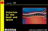 Limmer et al., Emergency Care, 10 th Edition © 2005 by Pearson Education, Inc. Upper Saddle River, NJ CHAPTER 29 Injuries to the Head and Spine