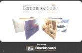 1 Services. 2 Agenda Overview –Managing the Transitions of The Networked Transaction Environment Blackboard Consulting –Who We Are and What We Do Blackboard.