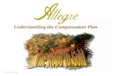 Understanding the Compensation Plan Modified 3/22/2007.