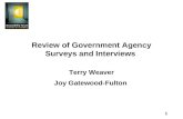 1 Review of Government Agency Surveys and Interviews Terry Weaver Joy Gatewood-Fulton.
