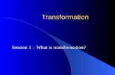 Transformation Session 1 – What is transformation?