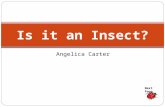 Angelica Carter Is it an Insect? Next Page. What characteristics do insects have? Do you know? Next Page.