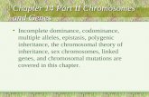 Chapter 14 Part II Chromosomes and Genes Incomplete dominance, codominance, multiple alleles, epistasis, polygenic inheritance, the chromosomal theory.