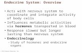 © 2013 Pearson Education, Inc. Endocrine System: Overview Acts with nervous system to coordinate and integrate activity of body cells Influences metabolic.