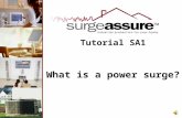 What is a power surge? Tutorial SA1 Power Surges What are they? Where do they come from? What damage do they cause?