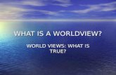 WHAT IS A WORLDVIEW? WORLD VIEWS: WHAT IS TRUE?. MEANING OF WORLDVIEW An all-inclusive world-view or outlook. A somewhat poetic term to indicate either.