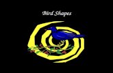 Bird Shapes. Birds With A Crest Cardinal Cedar waxwing Tufted titmouse.