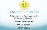 Chapter 10 (Part 4) Alternative Pathways & Photosynthesis (Plant Evolution) Ms. Gaynor AP Biology.