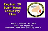 Region IV Burn Mass Casualty Plan David J. Barillo, MD, FACS Chair, ABA Region IV Commander, FEMA Burn Specialty Team 2.