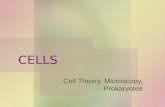 CELLS Cell Theory, Microscopy, Prokaryotes. CELL THEORY 1.All living things are composed of cells and cell products. 2.New cells are formed only by the.