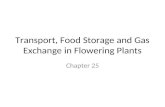 Transport, Food Storage and Gas Exchange in Flowering Plants Chapter 25.