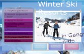 Winter Ski Resorts in Gangwon-do 1. YongPyong Ski Resort 2. Hyundai Sungwoo Ski Resort 3. High1 Ski Resort 4. Elysian Gangchon Ski Resort 5. Phoenix Park.