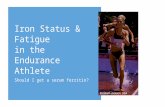 Iron Status & Fatigue in the Endurance Athlete Should I get a serum ferritin?