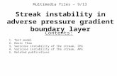 Multimedia files – 9/13 Streak instability in adverse pressure gradient boundary layer Contents: 1. Test model 2. Basic flow 3. Varicose instability of.