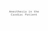 Anesthesia in the Cardiac Patient. Monitoring Routine Pulse Oximetry PNS Capnography Temperature Core and peripheral ECG Leads V5 and II.