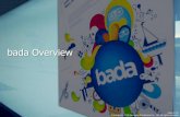 Bada Overview