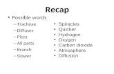 Recap Possible words – Tracheae – Diffuses – Pizza – All parts – Branch – Slower Spiracles Quicker Hydrogen Oxygen Carbon dioxide Atmosphere Diffusion.