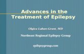 Advances in the Treatment of Epilepsy Olgica Laban-Grant, MD Northeast Regional Epilepsy Group epilepsygroup.com.