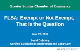 Greater Sumter Chamber of Commerce FLSA: Exempt or Not Exempt, That is the Question May 23, 2012 David Dubberly Certified Specialist in Employment and.